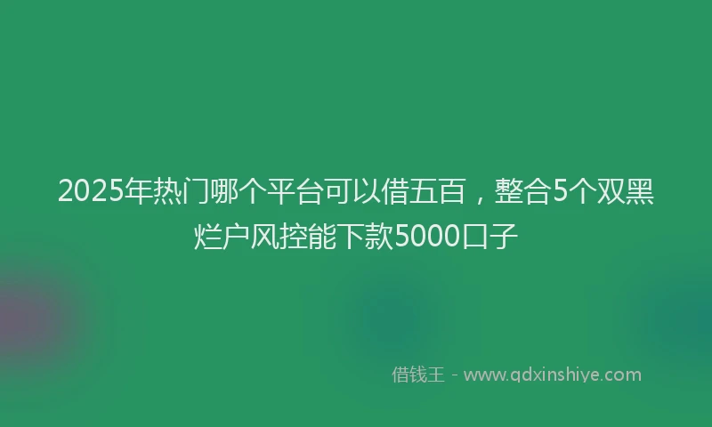 2025年热门哪个平台可以借五百，整合5个双黑烂户风控能下款5000口子
