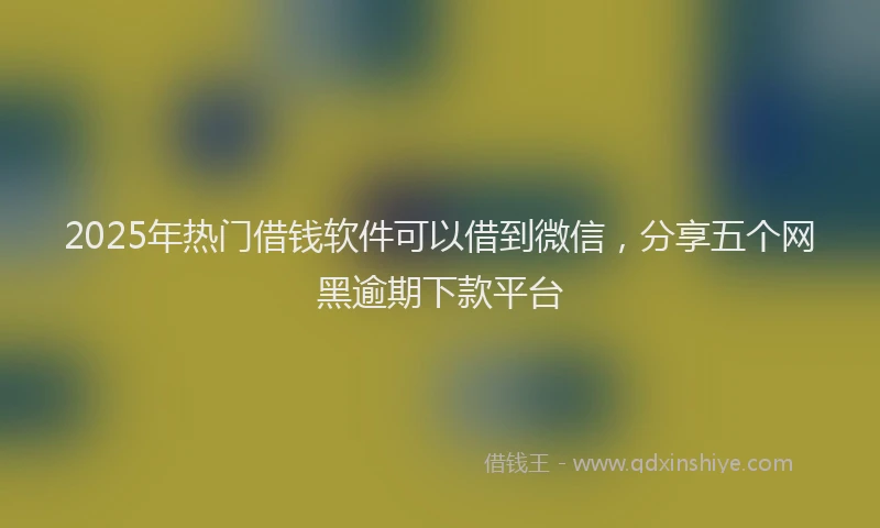 2025年热门借钱软件可以借到微信，分享五个网黑逾期下款平台