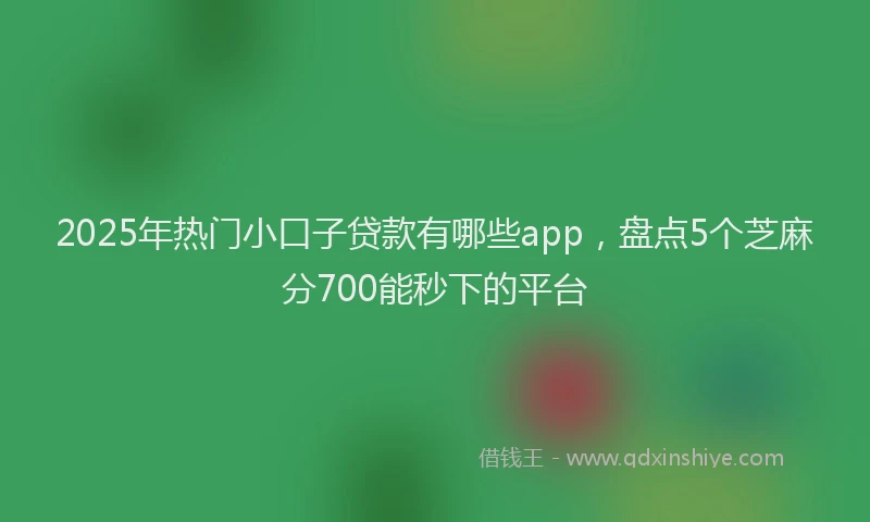 2025年热门小口子贷款有哪些app，盘点5个芝麻分700能秒下的平台
