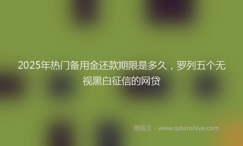 2025年热门备用金还款期限是多久，罗列五个无视黑白征信的网贷