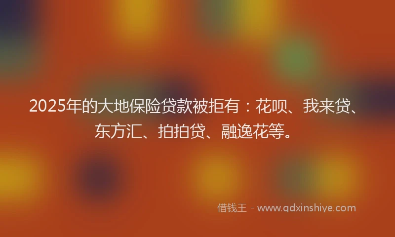 2025年的大地保险贷款被拒有：花呗、我来贷、东方汇、拍拍贷、融逸花等。