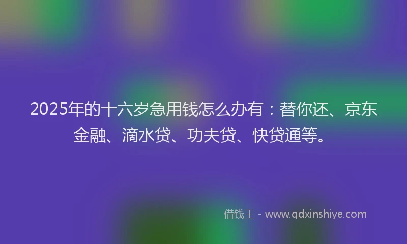2025年的十六岁急用钱怎么办有：替你还、京东金融、滴水贷、功夫贷、快贷通等。