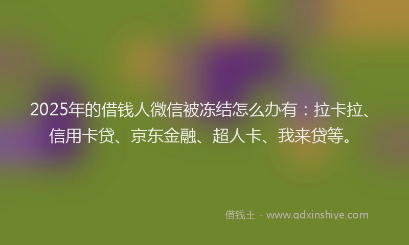 2025年的借钱人微信被冻结怎么办有：拉卡拉、信用卡贷、京东金融、超人卡、我来贷等。