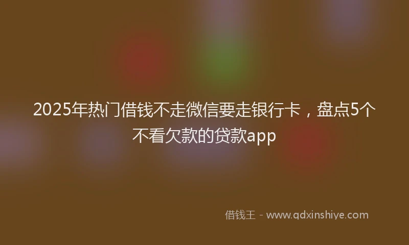 2025年热门借钱不走微信要走银行卡，盘点5个不看欠款的贷款app