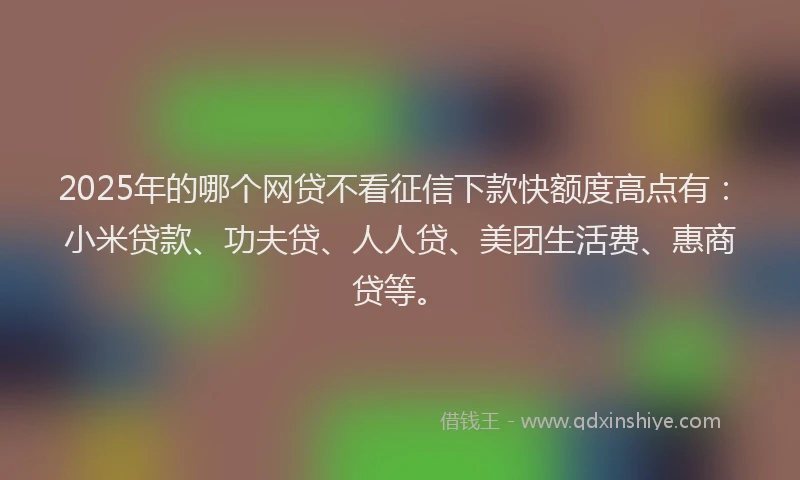 2025年的哪个网贷不看征信下款快额度高点有：小米贷款、功夫贷、人人贷、美团生活费、惠商贷等。