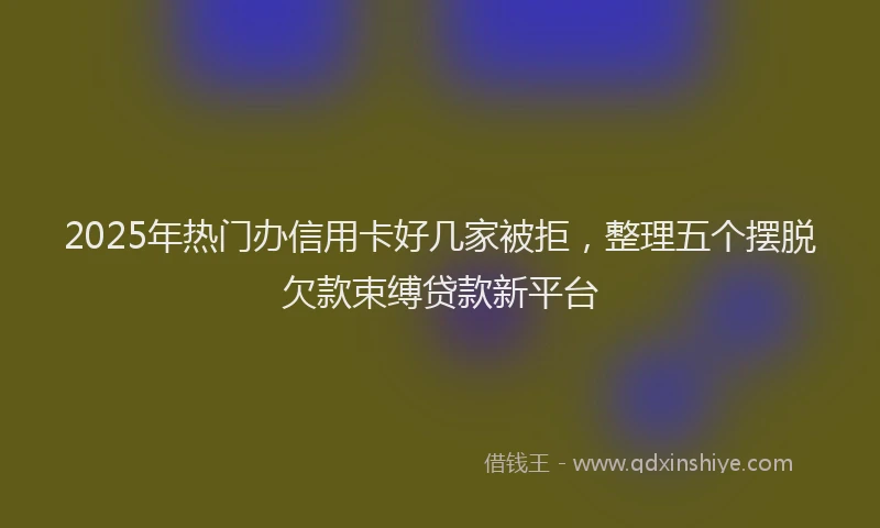 2025年热门办信用卡好几家被拒，整理五个摆脱欠款束缚贷款新平台