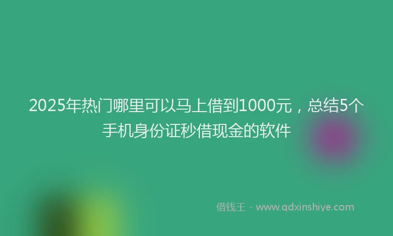 2025年热门哪里可以马上借到1000元，总结5个手机身份证秒借现金的软件