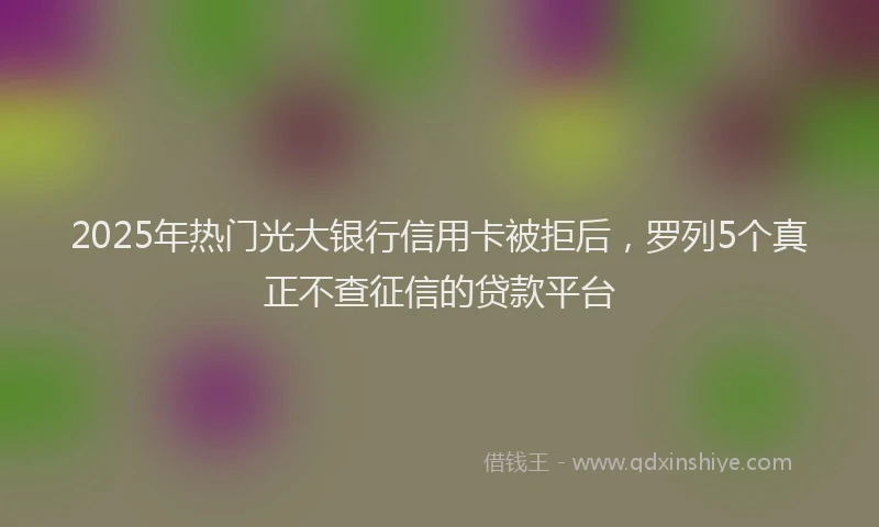 2025年热门光大银行信用卡被拒后，罗列5个真正不查征信的贷款平台