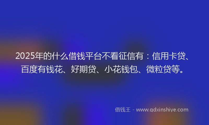 2025年的什么借钱平台不看征信有：信用卡贷、百度有钱花、好期贷、小花钱包、微粒贷等。