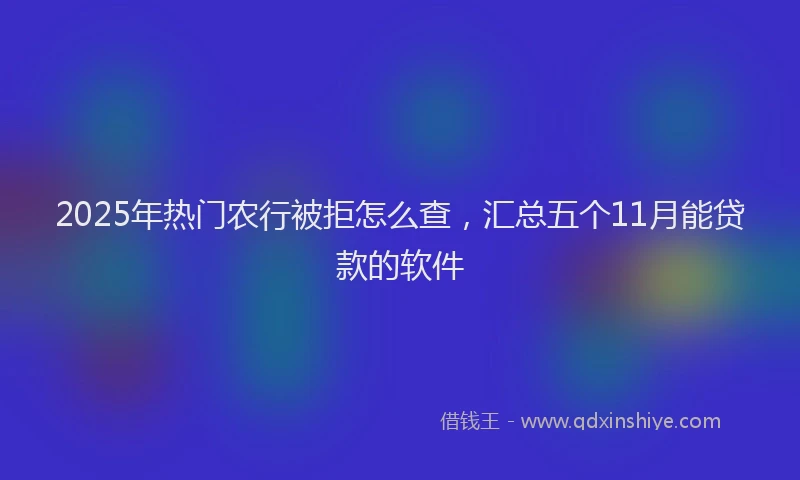 2025年热门农行被拒怎么查，汇总五个11月能贷款的软件