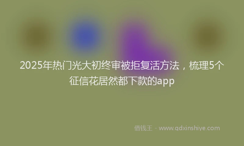2025年热门光大初终审被拒复活方法，梳理5个征信花居然都下款的app