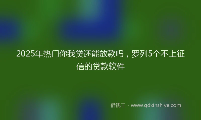 2025年热门你我贷还能放款吗，罗列5个不上征信的贷款软件