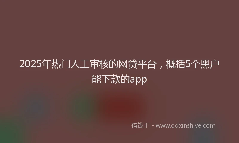 2025年热门人工审核的网贷平台，概括5个黑户能下款的app