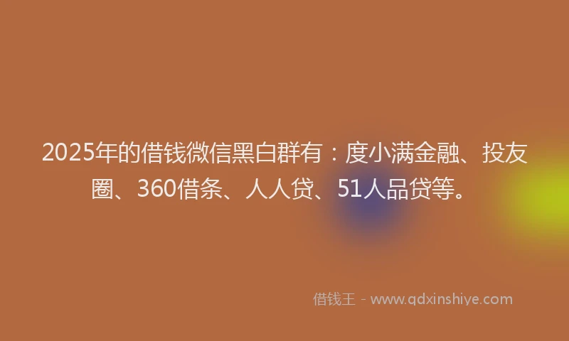 2025年的借钱微信黑白群有：度小满金融、投友圈、360借条、人人贷、51人品贷等。