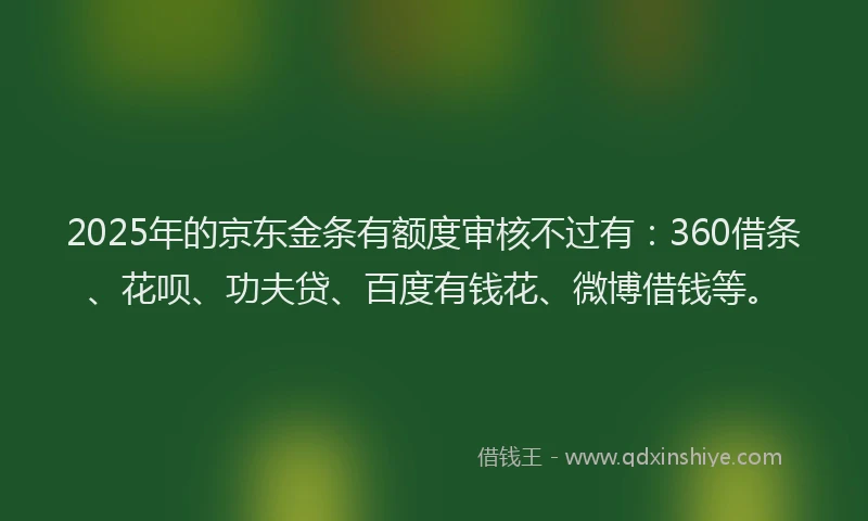 2025年的京东金条有额度审核不过有：360借条、花呗、功夫贷、百度有钱花、微博借钱等。