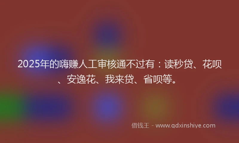 2025年的嗨赚人工审核通不过有：读秒贷、花呗、安逸花、我来贷、省呗等。