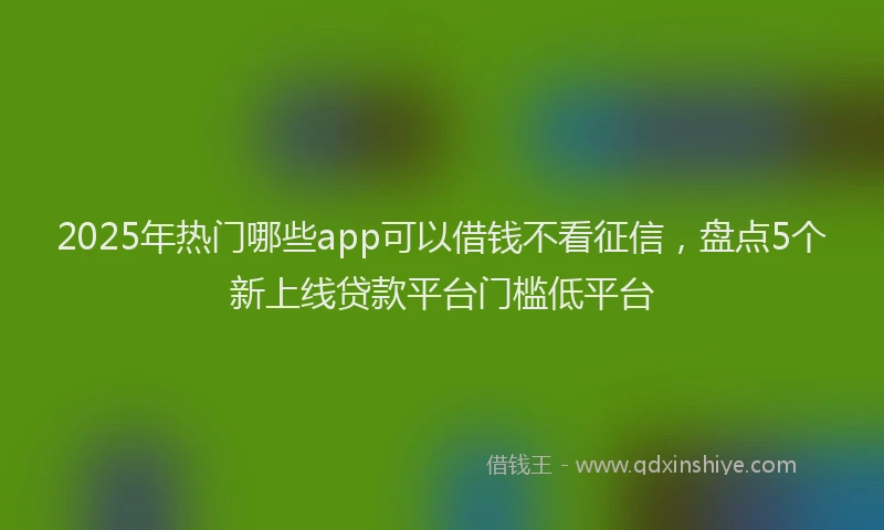 2025年热门哪些app可以借钱不看征信，盘点5个新上线贷款平台门槛低平台