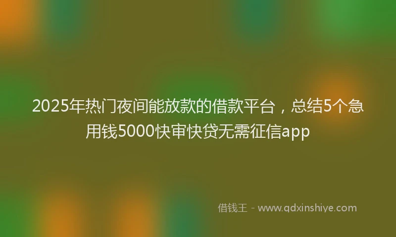 2025年热门夜间能放款的借款平台，总结5个急用钱5000快审快贷无需征信app