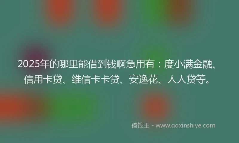 2025年的哪里能借到钱啊急用有：度小满金融、信用卡贷、维信卡卡贷、安逸花、人人贷等。