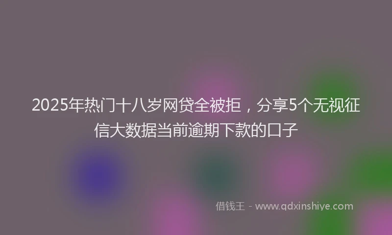 2025年热门十八岁网贷全被拒，分享5个无视征信大数据当前逾期下款的口子