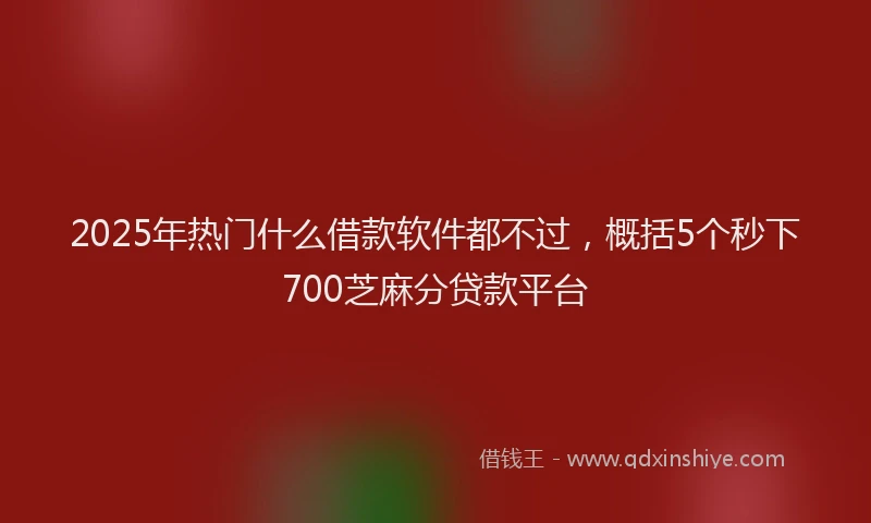2025年热门什么借款软件都不过，概括5个秒下700芝麻分贷款平台