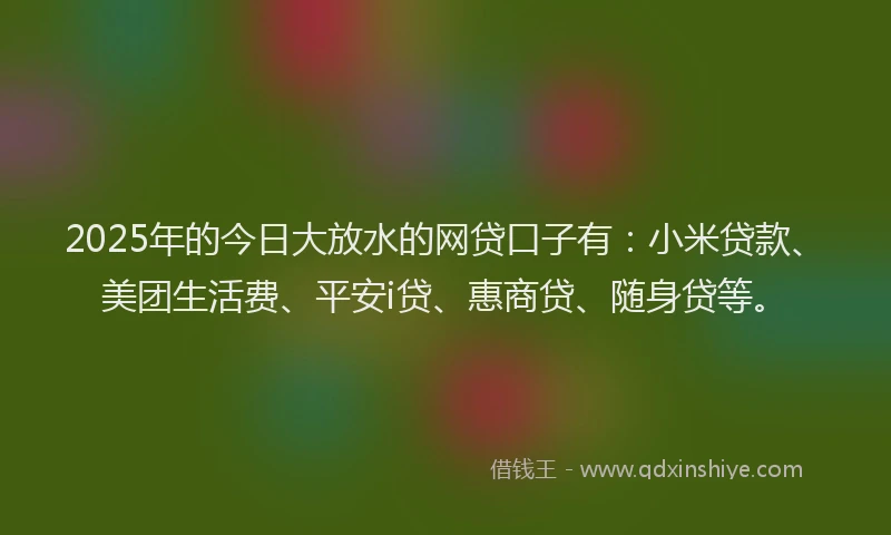 2025年的今日大放水的网贷口子有：小米贷款、美团生活费、平安i贷、惠商贷、随身贷等。
