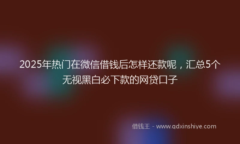 2025年热门在微信借钱后怎样还款呢，汇总5个无视黑白必下款的网贷口子