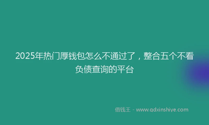 2025年热门厚钱包怎么不通过了，整合五个不看负债查询的平台