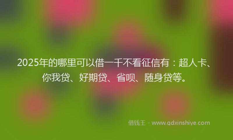 2025年的哪里可以借一千不看征信有：超人卡、你我贷、好期贷、省呗、随身贷等。