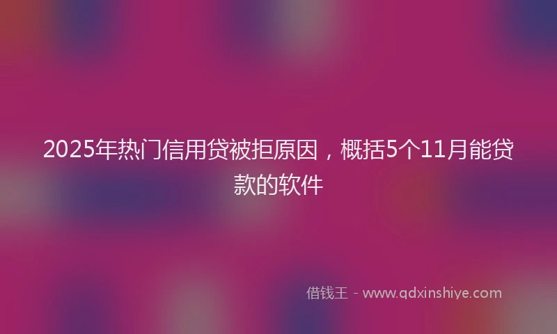 2025年热门信用贷被拒原因，概括5个11月能贷款的软件