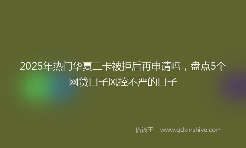 2025年热门华夏二卡被拒后再申请吗，盘点5个网贷口子风控不严的口子