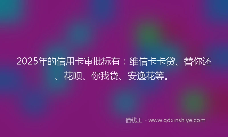 2025年的信用卡审批标有：维信卡卡贷、替你还、花呗、你我贷、安逸花等。