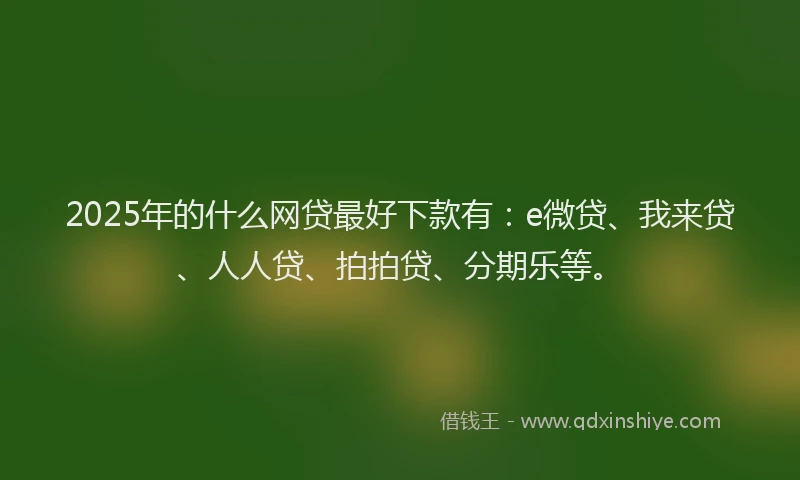 2025年的什么网贷最好下款有：e微贷、我来贷、人人贷、拍拍贷、分期乐等。