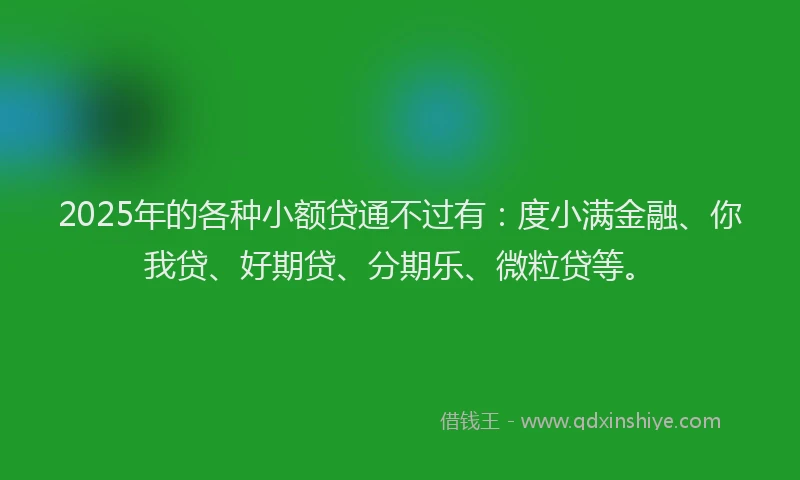 2025年的各种小额贷通不过有：度小满金融、你我贷、好期贷、分期乐、微粒贷等。