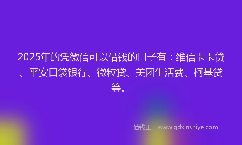 2025年的凭微信可以借钱的口子有：维信卡卡贷、平安口袋银行、微粒贷、美团生活费、柯基贷等。
