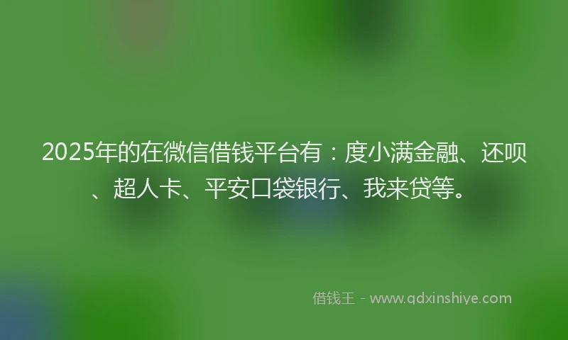 2025年的在微信借钱平台有：度小满金融、还呗、超人卡、平安口袋银行、我来贷等。