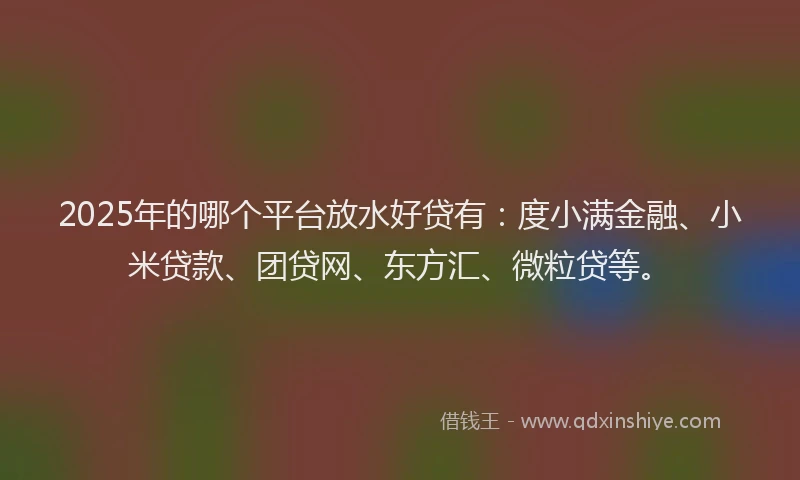2025年的哪个平台放水好贷有：度小满金融、小米贷款、团贷网、东方汇、微粒贷等。