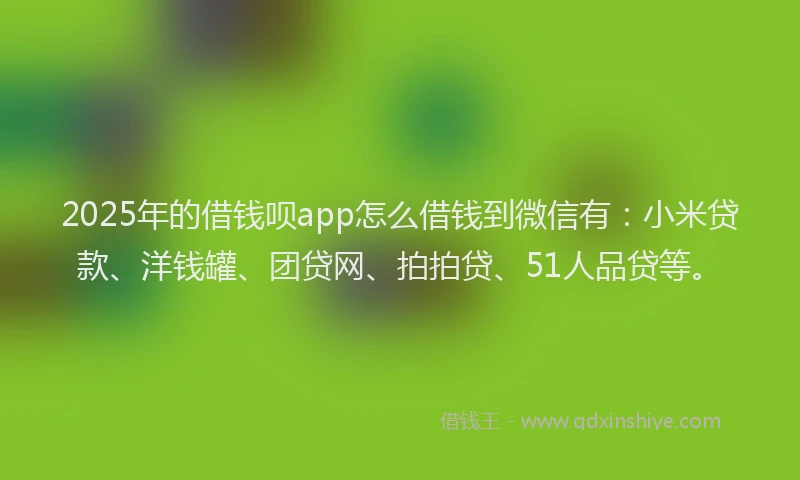 2025年的借钱呗app怎么借钱到微信有：小米贷款、洋钱罐、团贷网、拍拍贷、51人品贷等。
