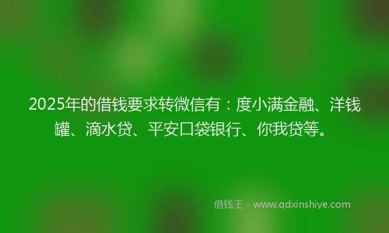 2025年的借钱要求转微信有：度小满金融、洋钱罐、滴水贷、平安口袋银行、你我贷等。