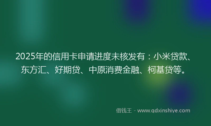 2025年的信用卡申请进度未核发有：小米贷款、东方汇、好期贷、中原消费金融、柯基贷等。