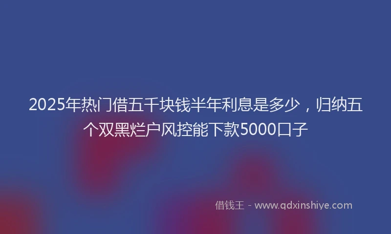 2025年热门借五千块钱半年利息是多少，归纳五个双黑烂户风控能下款5000口子