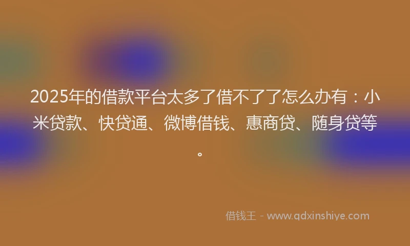 2025年的借款平台太多了借不了了怎么办有：小米贷款、快贷通、微博借钱、惠商贷、随身贷等。