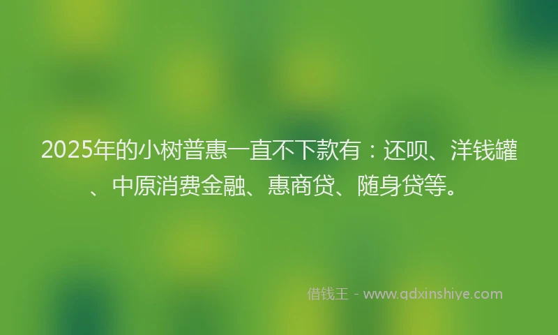 2025年的小树普惠一直不下款有：还呗、洋钱罐、中原消费金融、惠商贷、随身贷等。