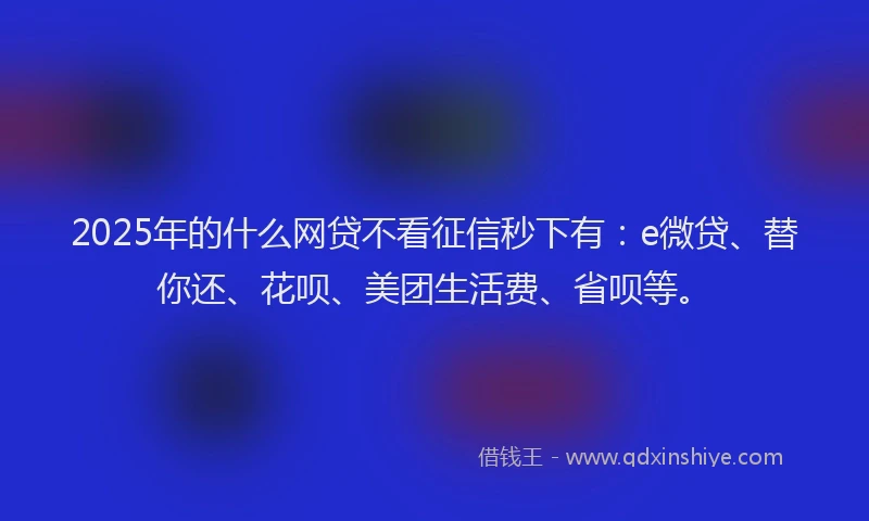 2025年的什么网贷不看征信秒下有：e微贷、替你还、花呗、美团生活费、省呗等。
