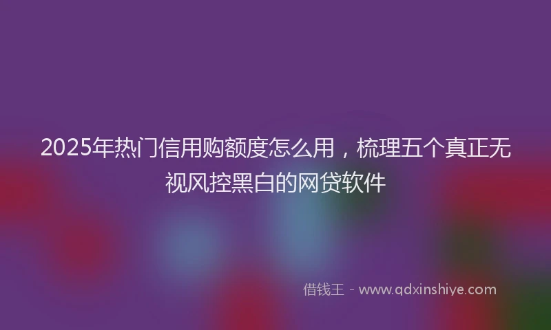 2025年热门信用购额度怎么用，梳理五个真正无视风控黑白的网贷软件
