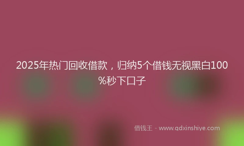 2025年热门回收借款，归纳5个借钱无视黑白100%秒下口子