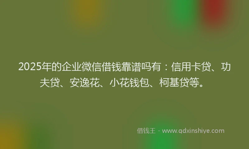 2025年的企业微信借钱靠谱吗有：信用卡贷、功夫贷、安逸花、小花钱包、柯基贷等。