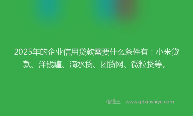 2025年的企业信用贷款需要什么条件有：小米贷款、洋钱罐、滴水贷、团贷网、微粒贷等。
