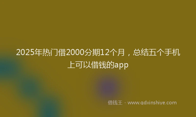 2025年热门借2000分期12个月，总结五个手机上可以借钱的app
