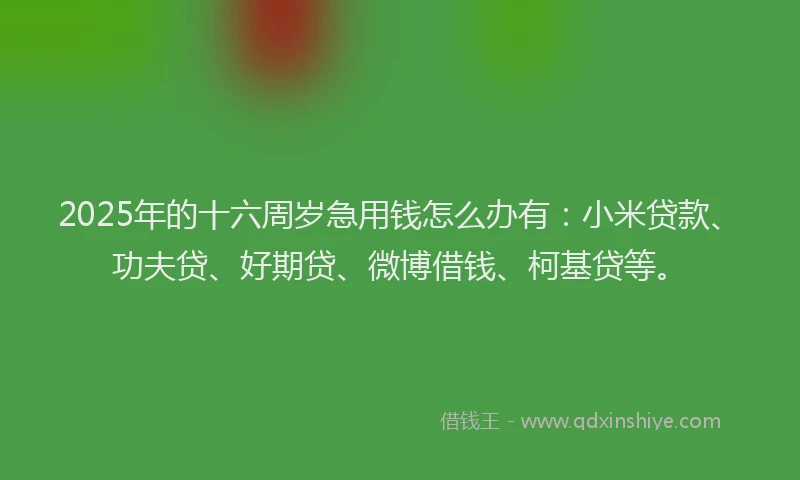 2025年的十六周岁急用钱怎么办有：小米贷款、功夫贷、好期贷、微博借钱、柯基贷等。